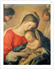 The Sleeping Christ Child by Il Sassoferrato