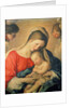 The Sleeping Christ Child by Il Sassoferrato