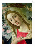 Madonna and Child Crowned by Angels by Sandro Botticelli