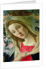 Madonna and Child Crowned by Angels by Sandro Botticelli