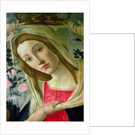 Madonna and Child Crowned by Angels by Sandro Botticelli