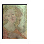 Venus and the Three Graces Offering Gifts to a Young Girl by Sandro Botticelli