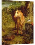 Earth or The Earthly Paradise by Jan the Elder Brueghel