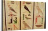 The sarcophagus of Psamtik I detail of hieroglyphics, Late Period by Egyptian 26th Dynasty