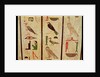 The sarcophagus of Psamtik I detail of hieroglyphics, Late Period by Egyptian 26th Dynasty