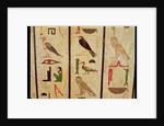The sarcophagus of Psamtik I detail of hieroglyphics, Late Period by Egyptian 26th Dynasty