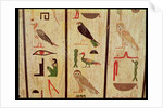 The sarcophagus of Psamtik I detail of hieroglyphics, Late Period by Egyptian 26th Dynasty