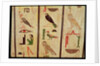 The sarcophagus of Psamtik I detail of hieroglyphics, Late Period by Egyptian 26th Dynasty