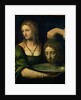 Salome with the Head of St. John the Baptist by Bernardino Luini