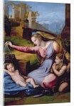 The Madonna of the Blue Diadem or The Madonna of the Veil by Raphael