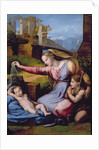 The Madonna of the Blue Diadem or The Madonna of the Veil by Raphael