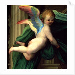 The Mystic Marriage of St. Catherine of Siena with Saints, detail of an angel, 1511 by Fra (1472-1517) Bartolomeo