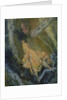The Turkey by Chaim Soutine