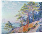 St. Tropez, the Custom's Path, 1905 by Paul Signac