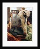 Who Is It?, 1884 by Lawrence Alma-Tadema