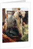 Who Is It?, 1884 by Lawrence Alma-Tadema