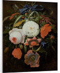 Still Life of Hanging Flowers by Abraham Mignon