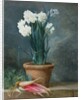 Still Life of Narcissi in a Terracotta Pot by Guillaume-Thomas-Raphael Taraval
