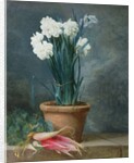 Still Life of Narcissi in a Terracotta Pot by Guillaume-Thomas-Raphael Taraval