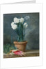 Still Life of Narcissi in a Terracotta Pot by Guillaume-Thomas-Raphael Taraval