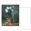 Still Life of Narcissi in a Terracotta Pot by Guillaume-Thomas-Raphael Taraval