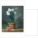 Still Life of Narcissi in a Terracotta Pot by Guillaume-Thomas-Raphael Taraval