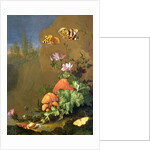 Still Life of Forest Floor with Flowers, Mushrooms and Snails by Elias van den Broeck