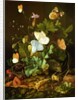 Still Life of a Forest Floor with Flowers, a Mouse and Butterflies by Elias van den Broeck