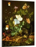 Still Life of a Forest Floor with Flowers, a Mouse and Butterflies by Elias van den Broeck