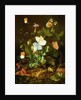 Still Life of a Forest Floor with Flowers, a Mouse and Butterflies by Elias van den Broeck