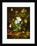 Still Life of a Forest Floor with Flowers, a Mouse and Butterflies by Elias van den Broeck