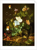 Still Life of a Forest Floor with Flowers, a Mouse and Butterflies by Elias van den Broeck