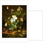 Still Life of a Forest Floor with Flowers, a Mouse and Butterflies by Elias van den Broeck