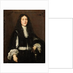 Portrait of a Young Man by Justus Sustermans