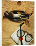 A tromple l'oeil of a pair of spectacles and a finch, 1740 by Conrad Manlich