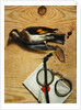 A tromple l'oeil of a pair of spectacles and a finch, 1740 by Conrad Manlich