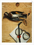 A tromple l'oeil of a pair of spectacles and a finch, 1740 by Conrad Manlich
