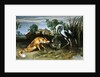 The Fox and the Crane from Aesop's Fables by Frans Snyders