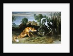 The Fox and the Crane from Aesop's Fables by Frans Snyders