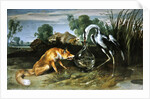 The Fox and the Crane from Aesop's Fables by Frans Snyders