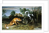 The Fox and the Crane from Aesop's Fables by Frans Snyders