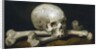 Memento Mori with a Skull and Crossbones, 1650-63 by Philips Gysels