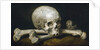Memento Mori with a Skull and Crossbones, 1650-63 by Philips Gysels