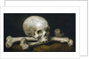 Memento Mori with a Skull and Crossbones, 1650-63 by Philips Gysels