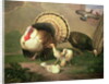 Turkeys by Johan Wenzel Peter