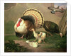 Turkeys by Johan Wenzel Peter