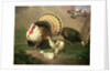 Turkeys by Johan Wenzel Peter