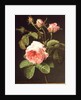 A Branch of Roses by Cornelis van Spaendonck