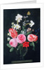 Roses, Narcissi, Tulips and other Flowers by Christiaan Luykx or Luycks