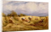 Harvesters, 1855 by John Linnell